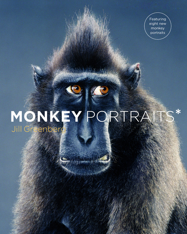 Monkey Portraits