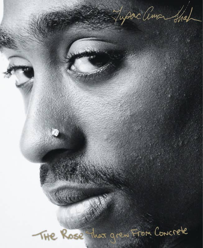Rose That Grew From Concrete by Tupac Shakur